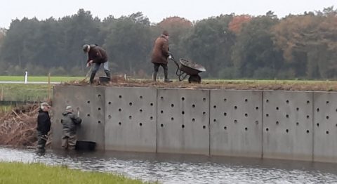 vawa_nieuws_211110oeverzwaluwwand1280