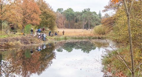 Verslagen Natuurwerkgroep Waalre