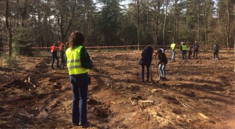 Boomfeestdag in Waalre