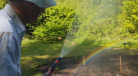 Iets minder ruig in Vlindertuin Waalre