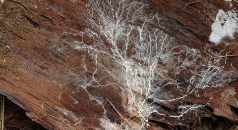 Relaties, relaties, relaties