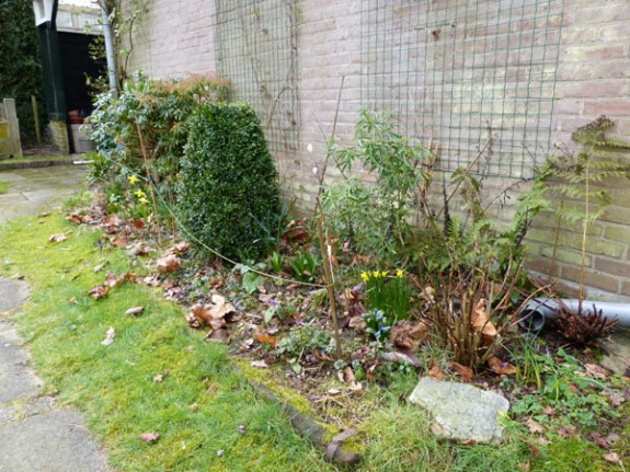 krabbelwerk IVN Valkenswaard-Waalre