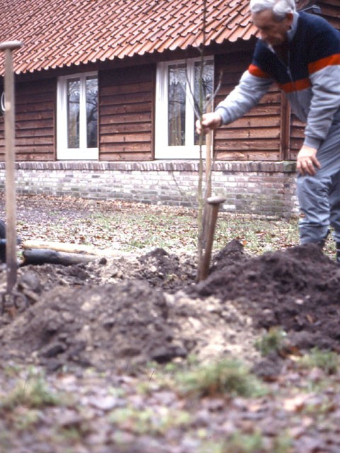 Planten walnoot bij D'n Nieuwe Hof