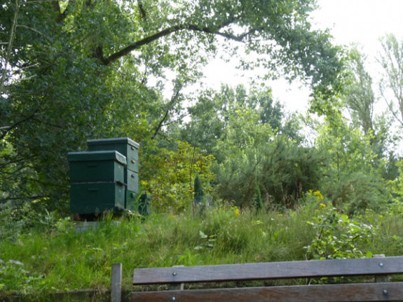 bijenkasten Vlindertuin