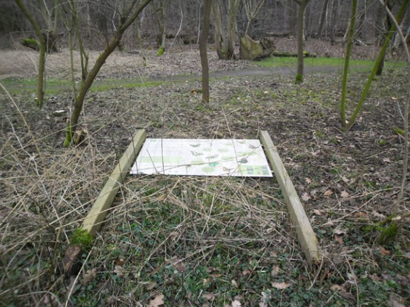 omgewaaid bord vlindertuin IVN Valkenswaard-Waalre