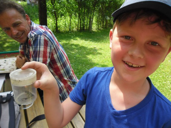 salamander in Vlindertuin Waalre