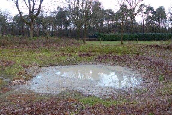 nieuw water in poel Vlindertuin