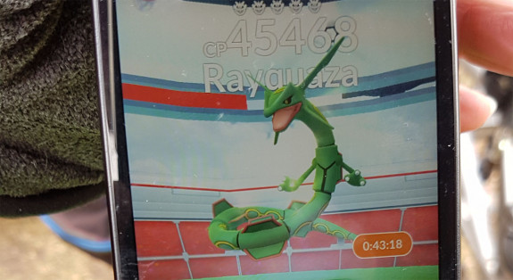 pokemon go in vlindertuin waalre