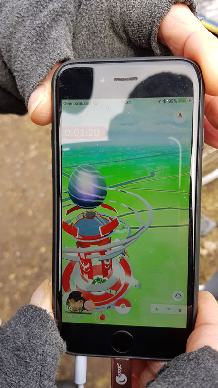 pokemon ei in de vlindertuin