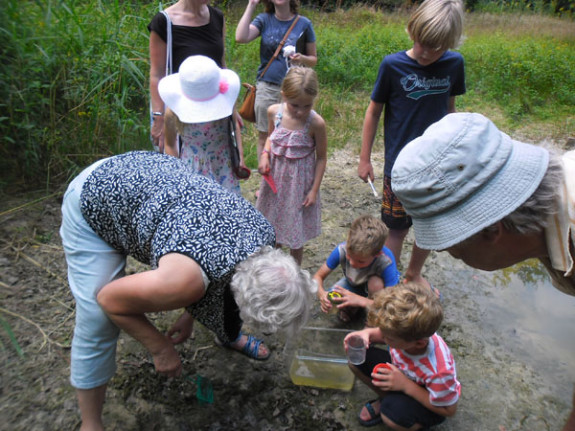 salamanderlarven redden