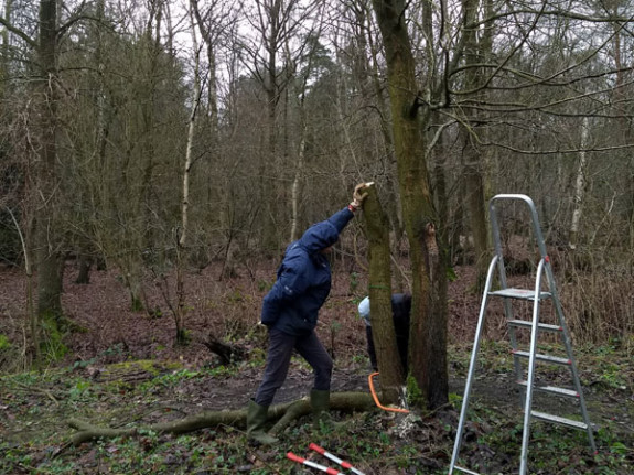 vlindertuin zaagwerk