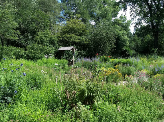 bloeiende vlindertuin