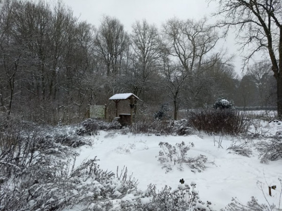 vlindertuin sneeuw 08-02-2021