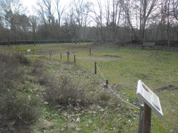 vlindertuin voorjaarsklaar