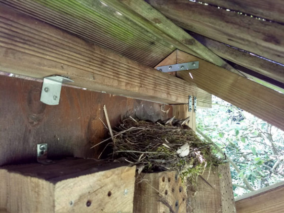 merelnest in insectenhotel