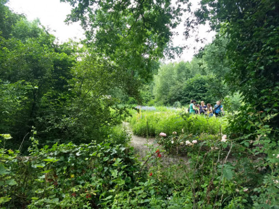 fotocursus in de vlindertuin