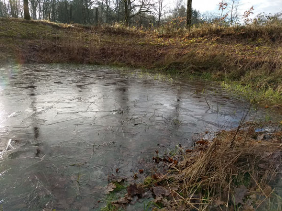 vlindertuin bevroren poel