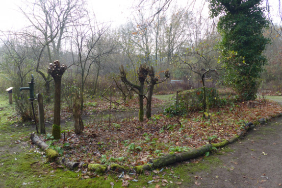 geknotte wilgen in vlindertuin