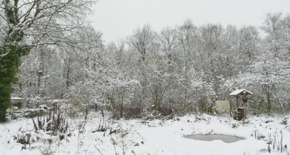 Wintersfeer in Vlindertuin Waalre