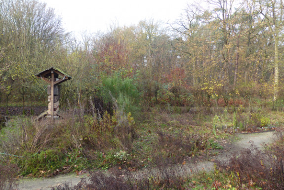 vlindertuin zonder eik
