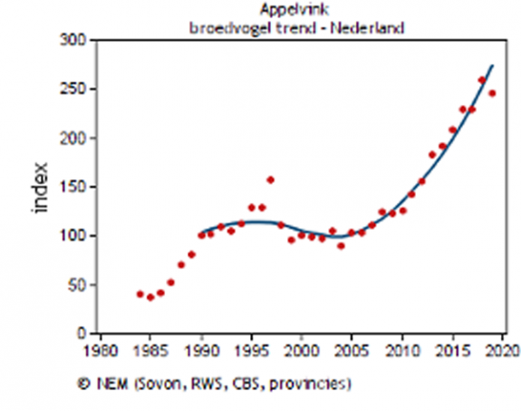 appelvink broedvogeltrend