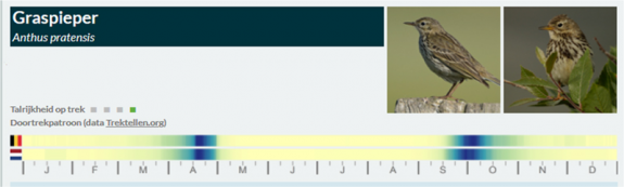 trektijden graspieper