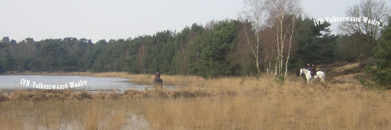 kop Aalsterheidewandeling 3op1