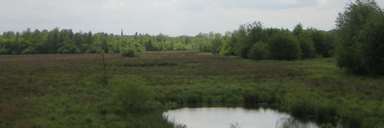 kop Groote Heide 3op1