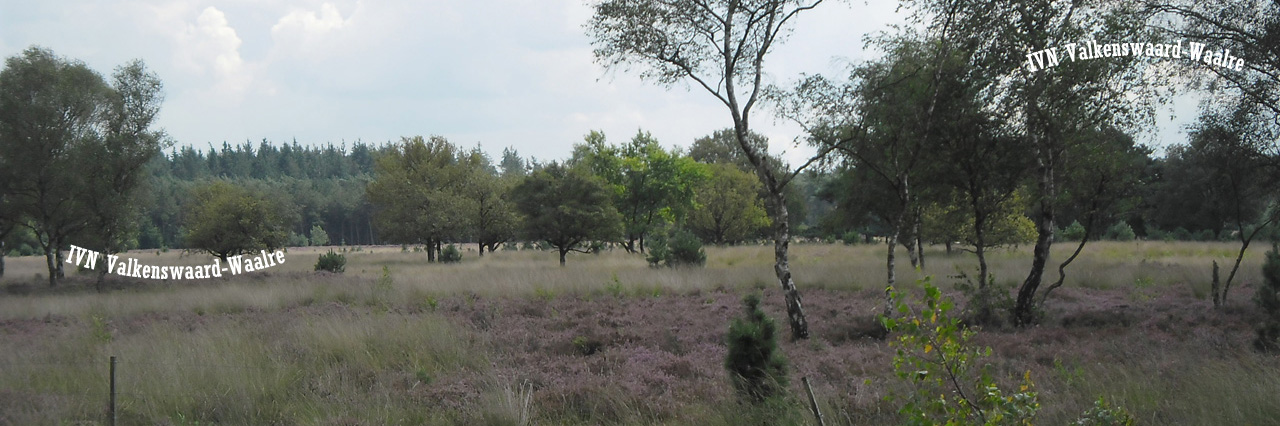 kop nachtzwaluwtocht 3op1