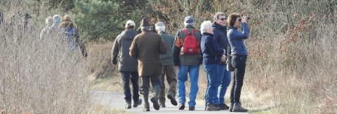 kop vogelcursus 3op1