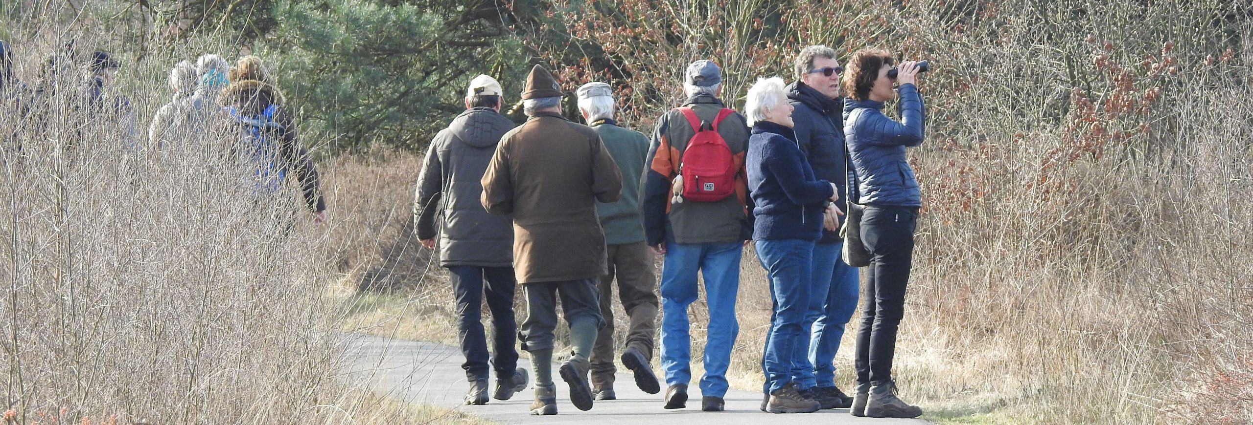 kop vogelcursus 3op1