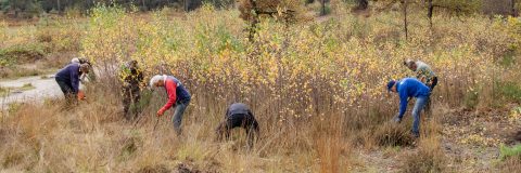 natuurwerkdag meeuwven 2022 3op1