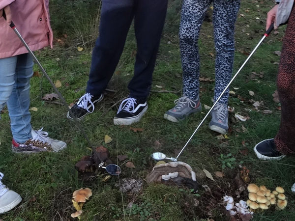 jeugd IVN paddenstoelen zoeken Leenderbos 4op3
