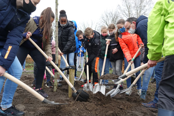 vawa minibos kleine meer 1 4op3