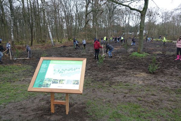 vawa minibos kleine meer 2 4op3