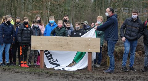 vawa minibos in de kleine meer kop 1280