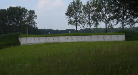 vawa oeverzwaluwwand kop 1280