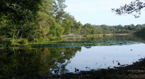 Meertjesven kop 1280x700