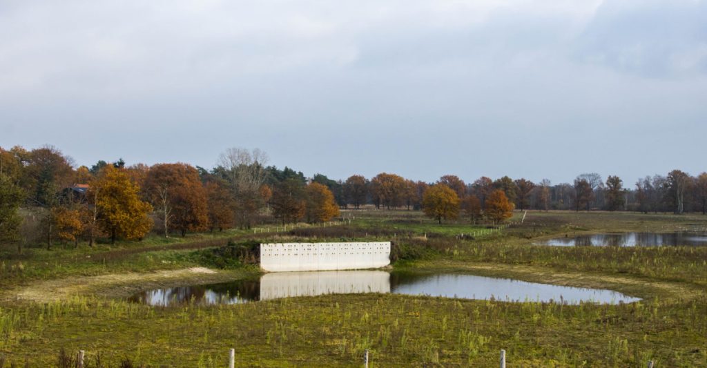 vawa oeverzwaluwwand in Achtereinds Laag 3op2