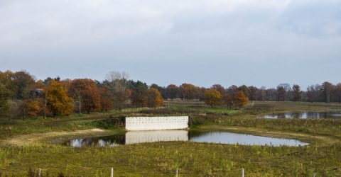 vawa oeverzwaluwwand in Achtereinds Laag 3op2