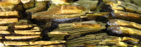 verweerd hout kop 3op1