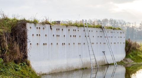 onderhoud overzwaluwwand Achtereinds Laag kop 1280