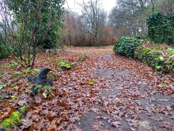 bladval eik in december 4op3