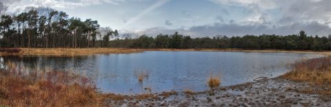 Peetersven Oude Wandelpark Valkenswaard