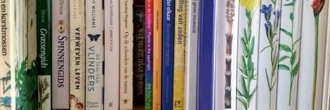 boekenplank kop 3op1