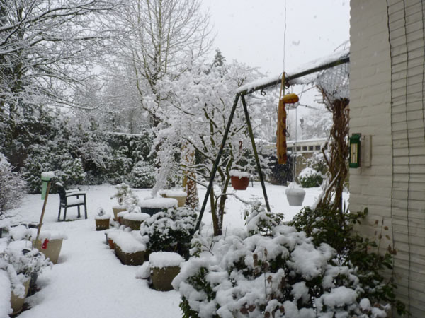 sneeuwval winter 2022-2023 4op3