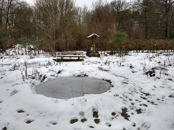 sneeuw in vlindertuin waalre januari 2023