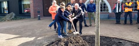 Boomfeestdag 2023 Waalre planten jubileumlinde kop 3op1
