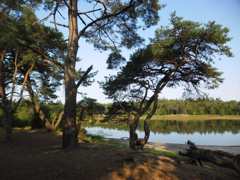 routeaalsterheide_13vliegdennen