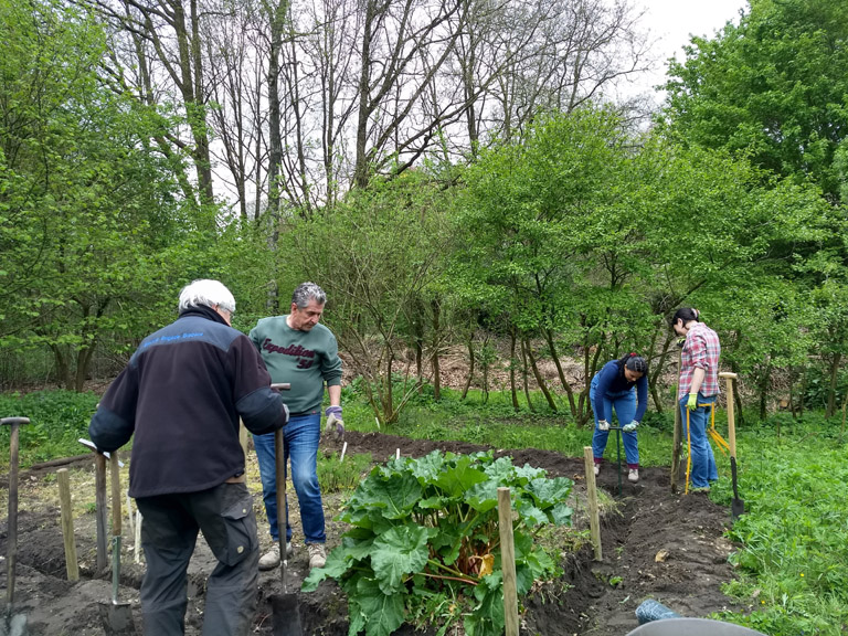 vlindertuin hekwerk moestuin 4op3